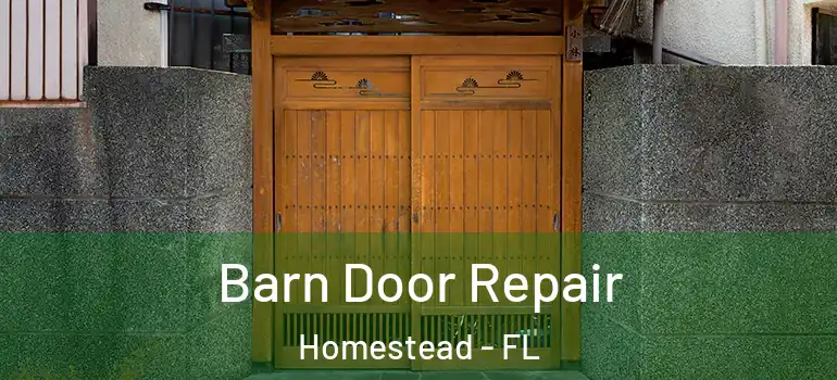  Barn Door Repair Homestead - FL