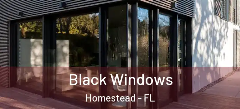  Black Windows Homestead - FL