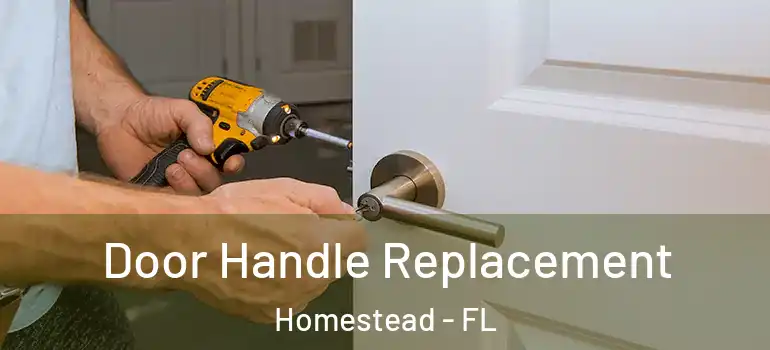  Door Handle Replacement Homestead - FL