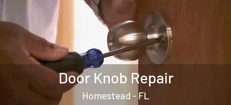  Door Knob Repair Homestead - FL