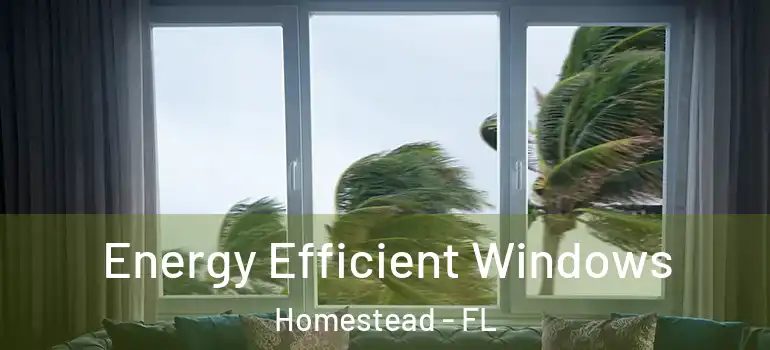  Energy Efficient Windows Homestead - FL