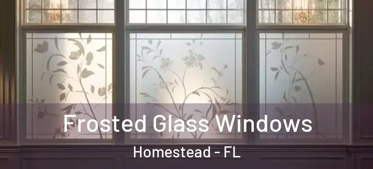  Frosted Glass Windows Homestead - FL