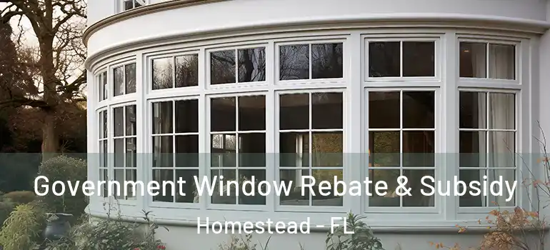  Government Window Rebate & Subsidy Homestead - FL