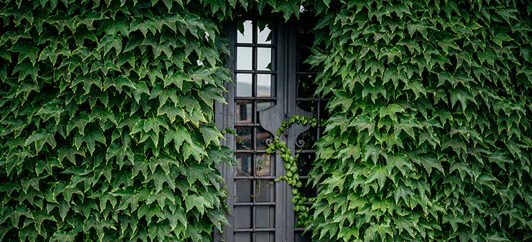 Garden Gate Repair in Homestead, FL