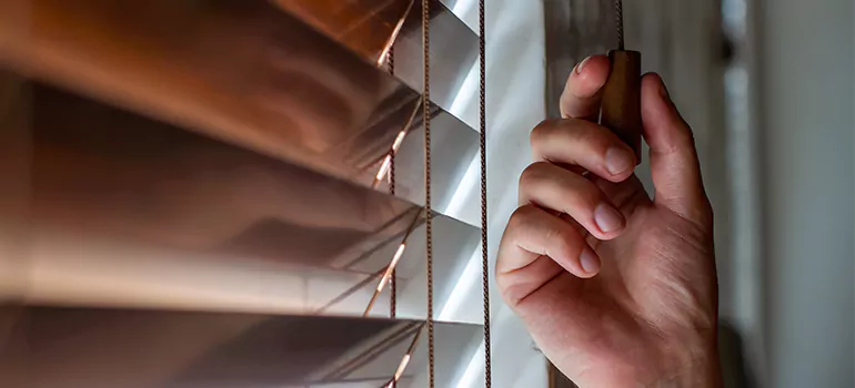 Double Roller Blinds in Homestead, FL