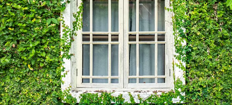 Garden Window Repair Near Me in Homestead, FL