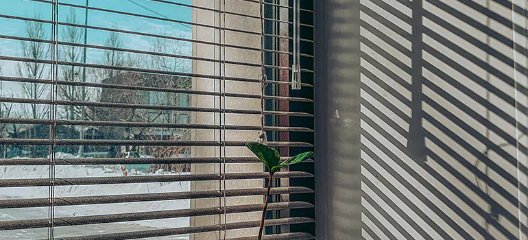 Commercial Window Blinds in Homestead, FL