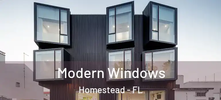  Modern Windows Homestead - FL