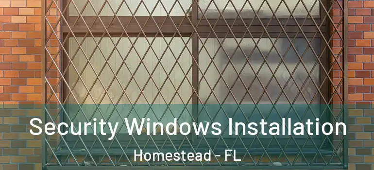  Security Windows Installation Homestead - FL