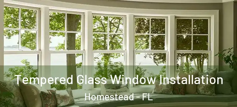  Tempered Glass Window Installation Homestead - FL
