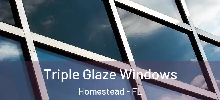  Triple Glaze Windows Homestead - FL