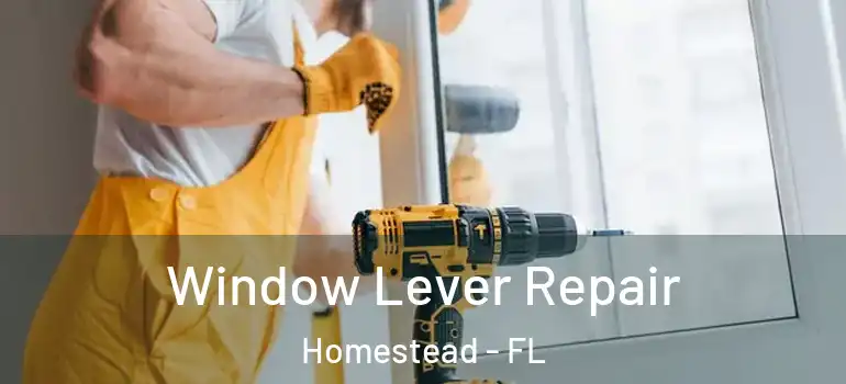  Window Lever Repair Homestead - FL