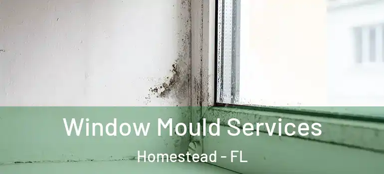  Window Mould Services Homestead - FL